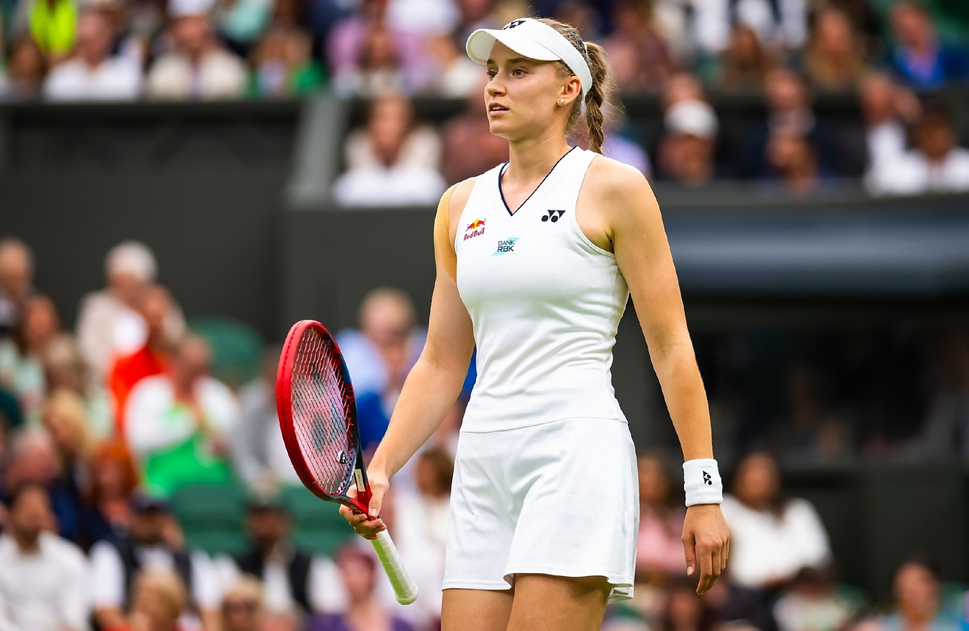 我们看到的 我们看到的