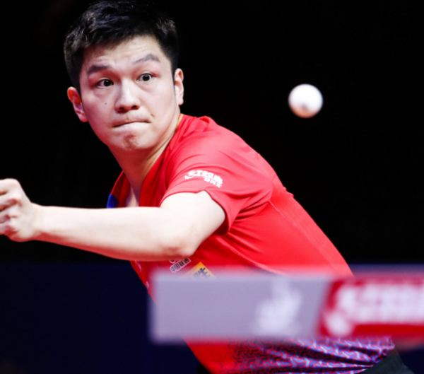 的强势回归 的强势回归