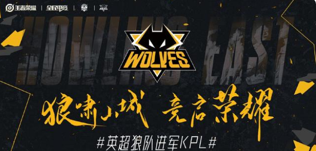 为导向的结
